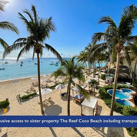 The Reef 28 Hotel & Spa (Adults Only) Playa del Carmen Exterior photo